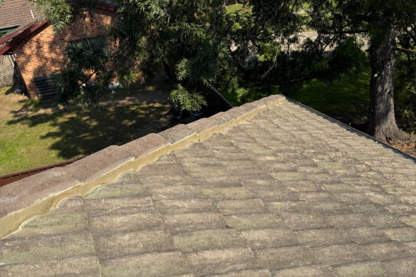 Repointing